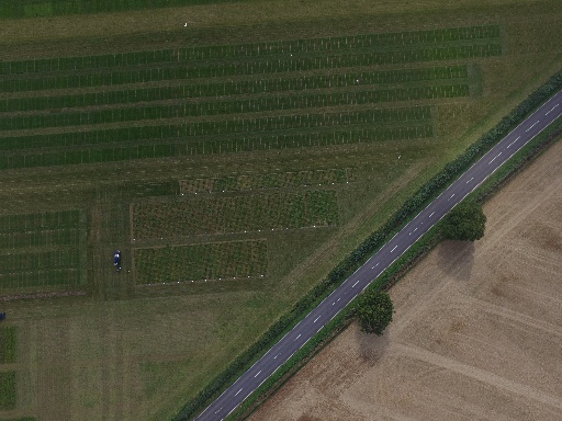 Using Drones for Crop Scouting in the UK: A Practical Guide for Modern Farmers